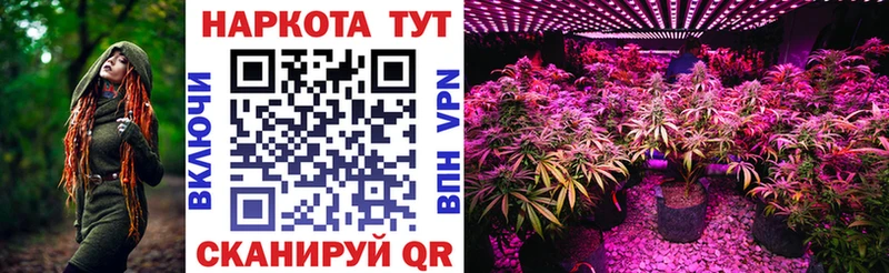 Какие есть наркотики Куровское Alpha-PVP  Мефедрон  ГАШИШ 
