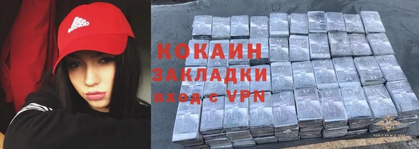 прущие грибы Уссурийск