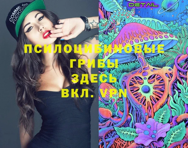 спайс Абаза
