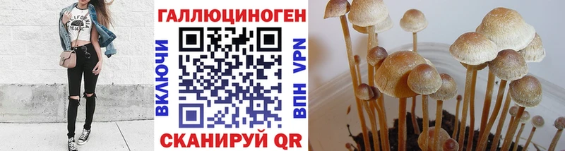 Галлюциногенные грибы Magic Shrooms  Куровское 